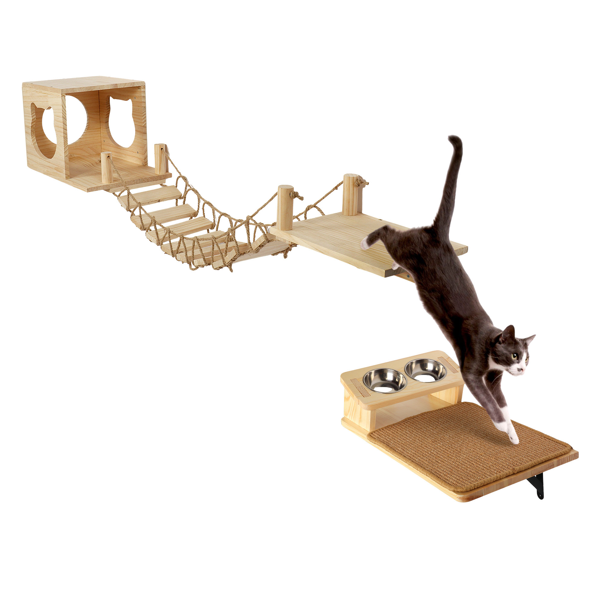 Cat feeder perch hotsell